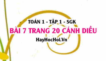 Bài 7 trang 20 Toán 12 tập 1 Cánh Diều
